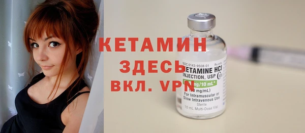 шишки Аркадак