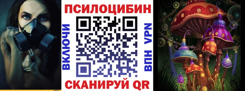 hydra онион  Крым  Галлюциногенные грибы Psilocybine cubensis 